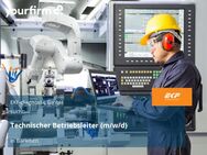 Technischer Betriebsleiter (m/w/d) - Barleben