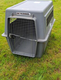 Hundebox - Riedlingen
