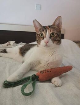 Mona - einfach nur lieb - Kirchheim (München)