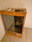 Großes Terrarium in 44789