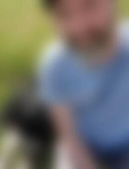 Ste*** - Neumagen-Dhron