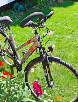 Fahrrad Allurex gebraucht - Brieselang