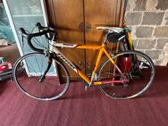 Damen Rennrad Rahmengröße 51cm - Schmallenberg Zentrum