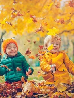 Mit BIEN ZENKER modern und energie-effzient gebaut - förderfähig in der höchsten Stufe - Altenberge