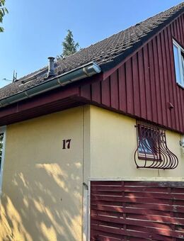 Einfamilienhaus mit Garage und kleinem Grundstück in sehr schöner Lage von Deutsch Evern - Deutsch Evern