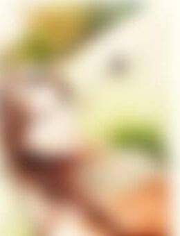 Sta*** - Siegen (Universitätsstadt)