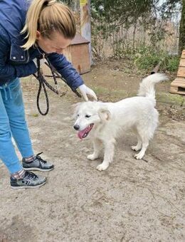 Sehr kluge soziale SNEJANKA sucht ♥️ - München