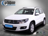 VW Tiguan, 1.4 TSI Trend&Fun, Jahr 2016 - Brandis