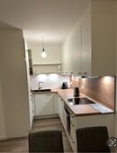 U-Küche, 2 Jahre alt, NP 10.000 EUR, abgebaut, sofort abholbereit in 70734