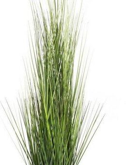 Kunstgras Gras Festuca Gras, Botanic-Haus, Höhe 115 cm