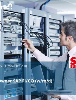 Solution Owner SAP FI/CO (w/m/d) - Bruchsal