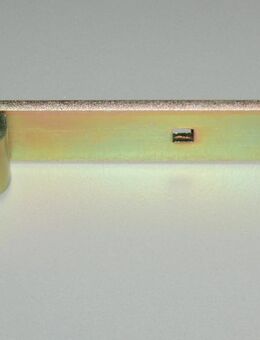 Ladenband,300 mm,13er Dorn - Ulmen Ulmen