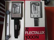 Lichtlampe für Fotos Flectalux 1000 W aus den 50/60 iger Jahren - Bad Neuenahr-Ahrweiler