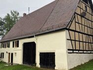 Historisches Bauernhaus mit ehemaliger Schmiede und sehr goßem Grundstück - Denkmalschutz - Denkingen