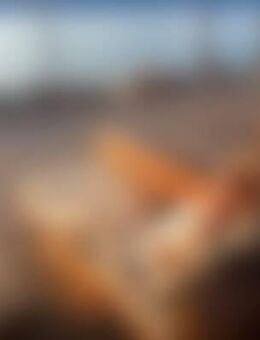 Pia*** - Landsberg (Lech)