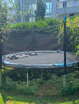 Trampolin zu verschenken - Heitersheim