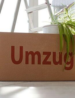 Top Umzugshelfer (Studenten) - Umzug-Umzugshilfe-Möbelmontage- Wände streichen - Aachen