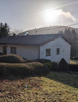 Idyllisch gelegener Siedlerhof mit ELW und 41ha anliegenden Ländereien und NEUER Öl-Brennwertheizung - Nohfelden