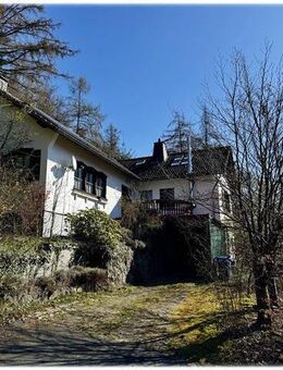 RESERVIERT! Charmantes Waldhaus in idyllischer Lage - ideal für Naturfreunde und Ruhesuchende! - Willingen (Upland)