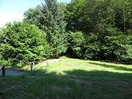 Waldesch 880m² Bauland auf 2432m² Flurstück, gesamt 8326m², Ortsrand, Wald, Bach, unverbaubar - Waldesch