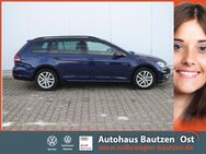 VW Golf Variant, 1.6 TDI Golf VII Comfortline, Jahr 2019 - Bautzen Zentrum