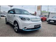 Kia Soul EV Play/ Super Zustand/ - Neuwied