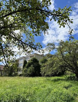 ruhige Wohnung mit herrlichem Ausblick, EBK in Lottstetten - Lottstetten