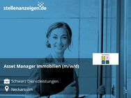 Asset Manager Immobilien (m/w/d) - Neckarsulm