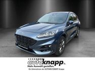 Ford Kuga, Sportpaket El, Jahr 2021 - Weinheim