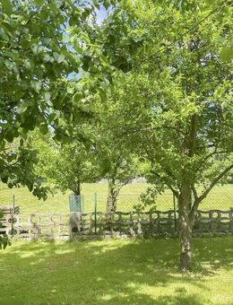 Großer Garten, viel Raum fürs Leben - Familienfreundliches Haus mit Naturanschluss und Ausbaureserve - Bäk
