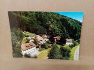 Postkarte C-450-Wildberg im Schwarzwald. Haus Saron. - Nörvenich