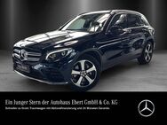Mercedes GLC 300, AMG DISTRO SitzKli Burme KeyGo, Jahr 2018 - Weinheim