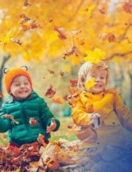 Ihr individuelles Traumhaus - Bien-Zenker in Ahrensburg - Ahrensburg