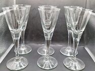 6 Stück Likörgläser Set Gläser Likör Glas Likörglas 14cm hoch 5cm breit - Essen