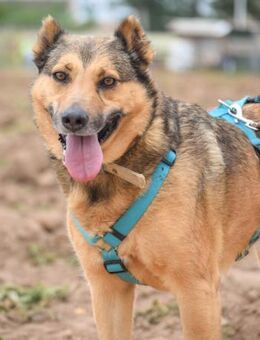 Silvana - zurück bleibt immer die Mama - Laatzen