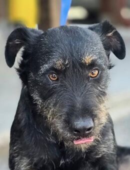 ❤️ Roby - Kissing