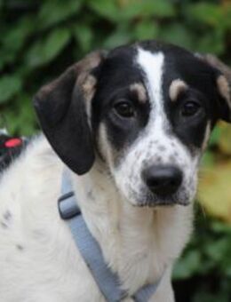 Holen Sie Anett zu sich? - Neuss