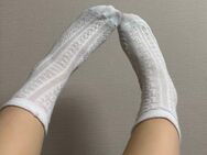 Süße Lace Socken zu verkaufen💕 - Erlangen