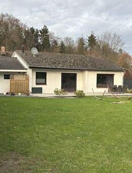 Einfamilienhaus auf großem Grundstück in Oldersbek mit vielseitig nutzbarer Halle auf dem Grundstück - Oldersbek