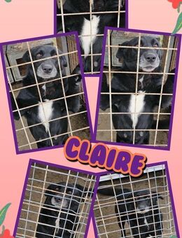 Claire keine Chance weil ich schwarz bin - Nürnberg