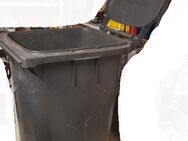 Mülltonne schwarz, gebraucht, 240 Liter, guter Zustand - Gorxheimertal
