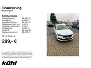 Skoda Scala, 1.0 TSI Selection, Jahr 2023 - Gifhorn