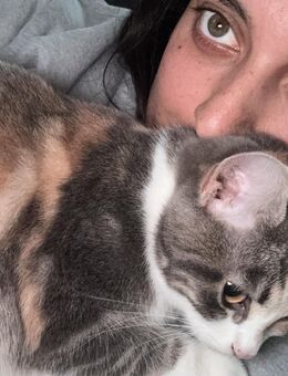 Biete Tierbetreuung - Bellenberg