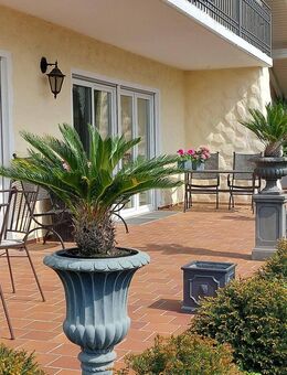 Wunderbares Einfamilienhaus mit Pool und traumhaftem Garten - Reisbach