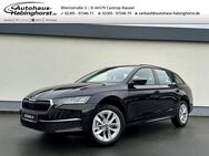 Skoda Octavia, 2.0 TDI IV Combi Selection, Jahr 2022 - Castrop-Rauxel