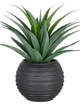 Kunstpflanze Agave, Creativ green, Höhe 75 cm, in UV-beständiger Ausführung