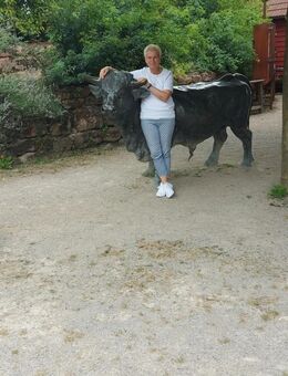 Partnerschaft - Heidelberg