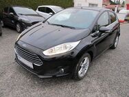 Ford Fiesta 1.0 EcoB. Titanium AHK Winter-P. Sony PPS hi - Welzheim