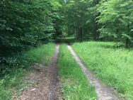 Zukunftssicher, individuell und nachhaltig - Ihr neuer Lebensraum. Vereinbaren Sie noch heute einen Termin in einem unserer Musterhäuser! - Külsheim