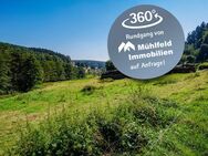 Großes Baugrundstück mit Wiese in sonniger Randlage! - Mossautal